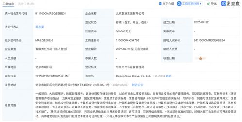 北京數(shù)據(jù)集團(tuán)正式揭牌成立，為數(shù)據(jù)處理服務(wù)注入新動(dòng)力