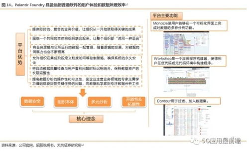 高光上市背后的Palantir 透視數(shù)據(jù)處理巨頭的高毛利與高估值之謎